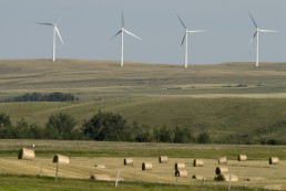 Wind Turbines in Cowley, AB